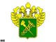 Герб ФТС. Фото РБК (с)
