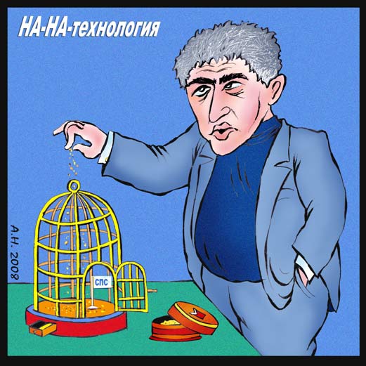 Нанозам