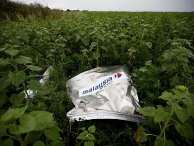 Останки малазийского боинга. Фото: reuters.com