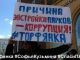 Пикет против застройки Торфянки. Фото: vk.com/captainpro